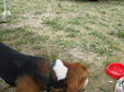 Enlarge photo 49