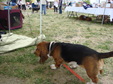 Enlarge photo 50