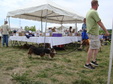 Enlarge photo 51