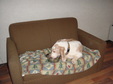 Enlarge photo 52