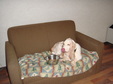 Enlarge photo 53