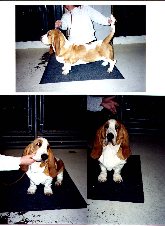 Enlarge photo 40