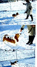Enlarge photo 41