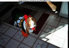Basset friends
