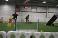 Enlarge photo 51