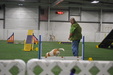 Enlarge photo 55
