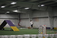 Enlarge photo 65