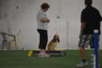Enlarge photo 67