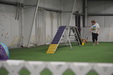 Enlarge photo 71