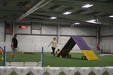 Enlarge photo 91