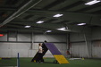 Enlarge photo 92