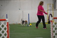 Enlarge photo 115