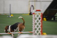 Enlarge photo 117