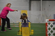 Enlarge photo 118