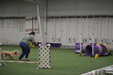Enlarge photo 119
