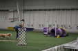 Enlarge photo 120