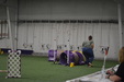 Enlarge photo 124