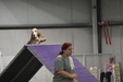 Enlarge photo 137