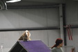 Enlarge photo 136