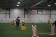 Enlarge photo 142