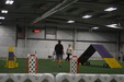 Enlarge photo 144
