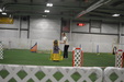 Enlarge photo 146