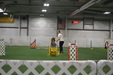 Enlarge photo 147