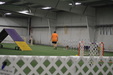 Enlarge photo 148