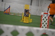 Enlarge photo 152