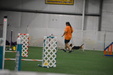 Enlarge photo 154
