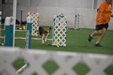 Enlarge photo 158