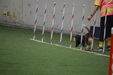 Enlarge photo 159
