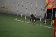 Enlarge photo 160