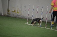 Enlarge photo 163