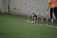 Enlarge photo 162