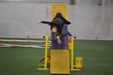 Enlarge photo 165