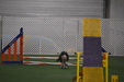 Enlarge photo 168