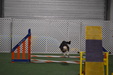 Enlarge photo 167