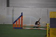 Enlarge photo 166