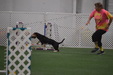 Enlarge photo 169