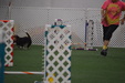Enlarge photo 170