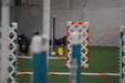Enlarge photo 171