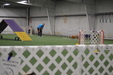 Enlarge photo 172
