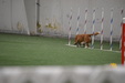 Enlarge photo 173