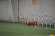 Enlarge photo 174