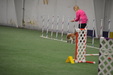 Enlarge photo 177