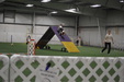Enlarge photo 206