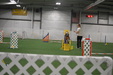 Enlarge photo 207