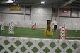 Enlarge photo 209