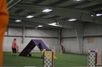 Enlarge photo 210